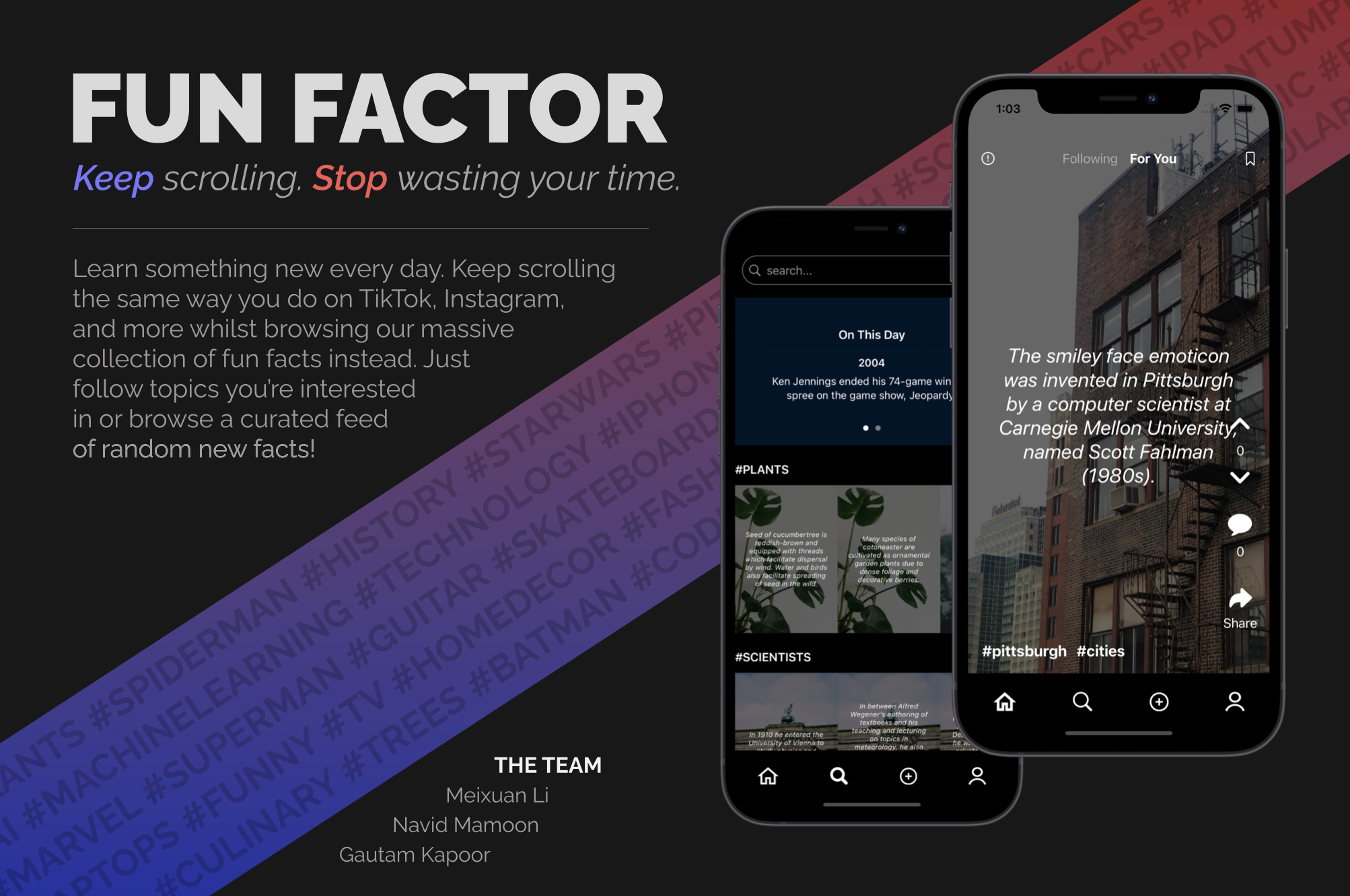 Fun Factor Poster